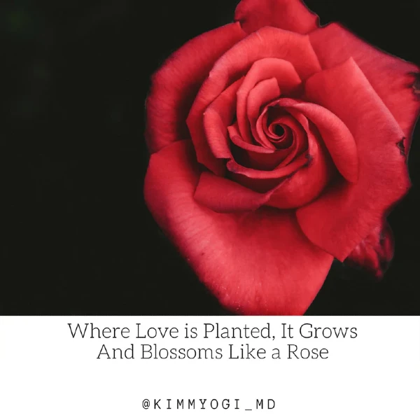 Where Love Is Planted